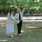 лепестки роз на церемонию