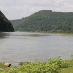 Корпоративний відпочинок на природі